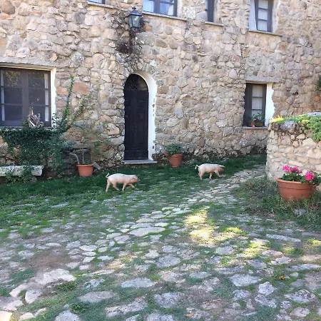 Il Muto Di Gallura 农家乐 *