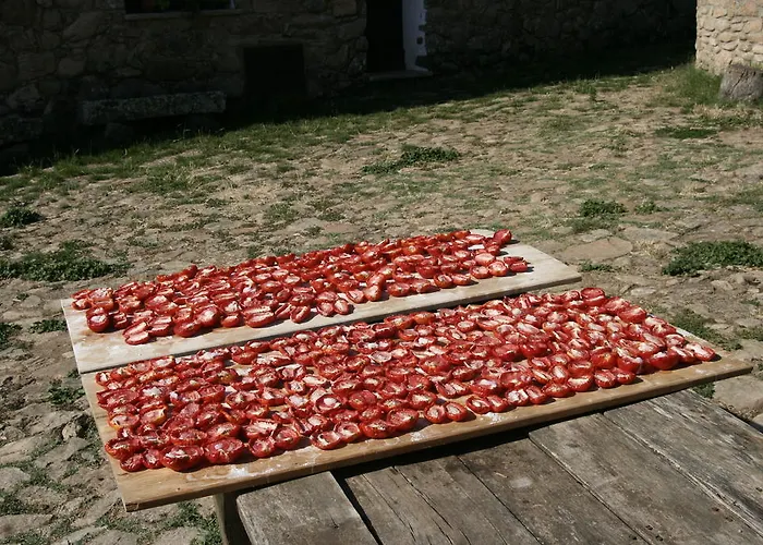 Il Muto Di Gallura Aggius