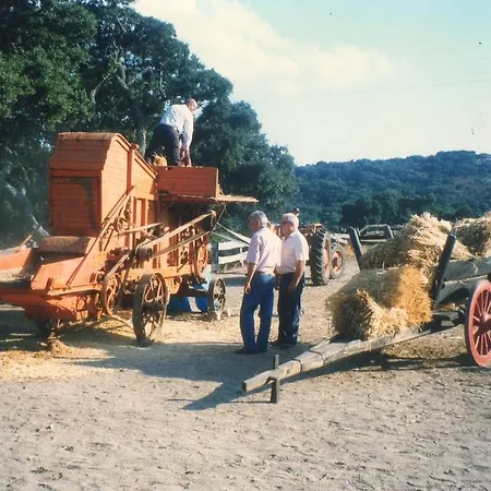 Il Muto Di Gallura Vakantieboerderij Aggius
