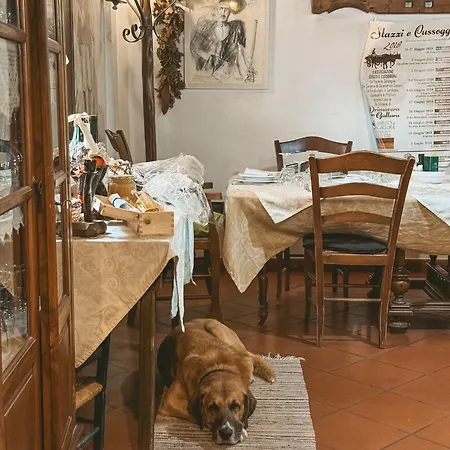 Il Muto Di Gallura