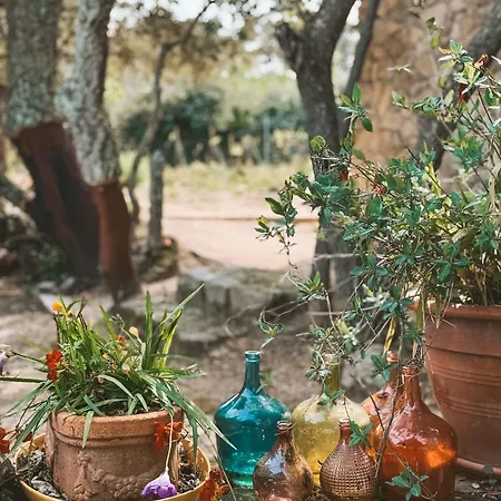 Il Muto Di Gallura Farm stay