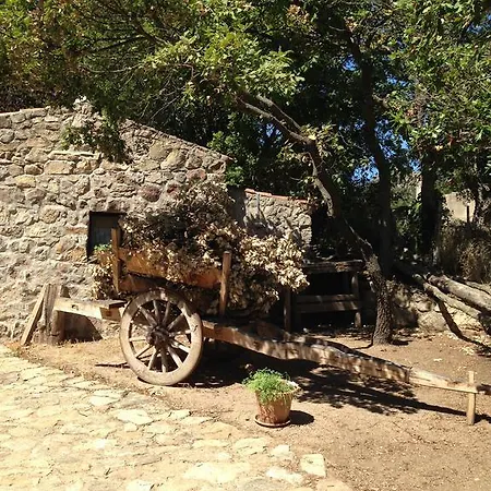 Il Muto Di Gallura *