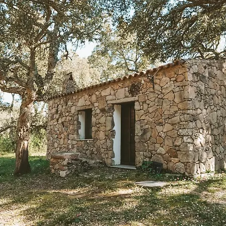 Il Muto Di Gallura Aggius