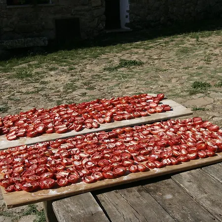 Il Muto Di Gallura Aggius