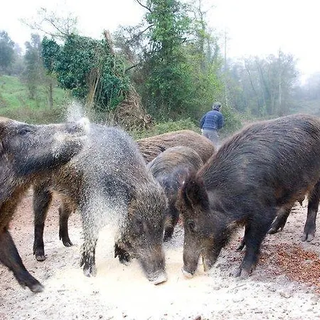 Vakantieboerderij Il Muto Di Gallura Aggius