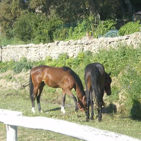Farmház Il Muto Di Gallura Aggius