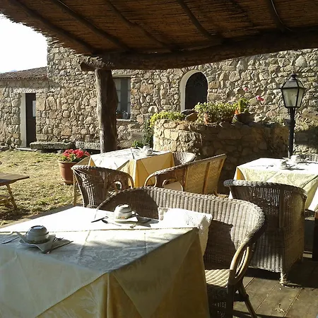 Il Muto Di Gallura Aggius