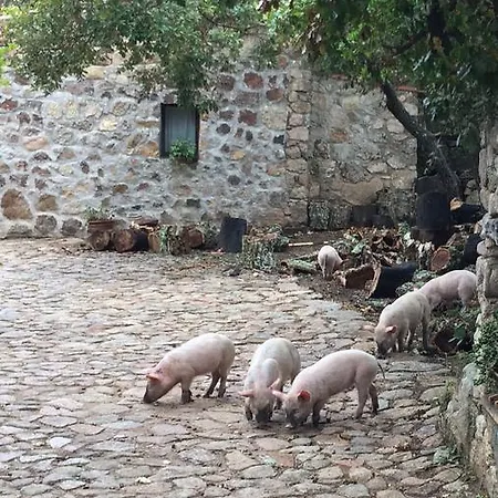Il Muto Di Gallura Farmház