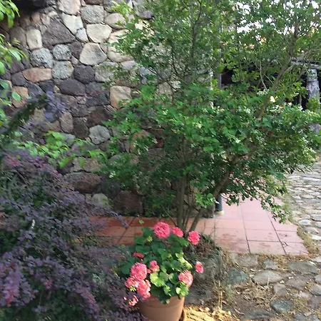 Il Muto Di Gallura Vakantieboerderij *