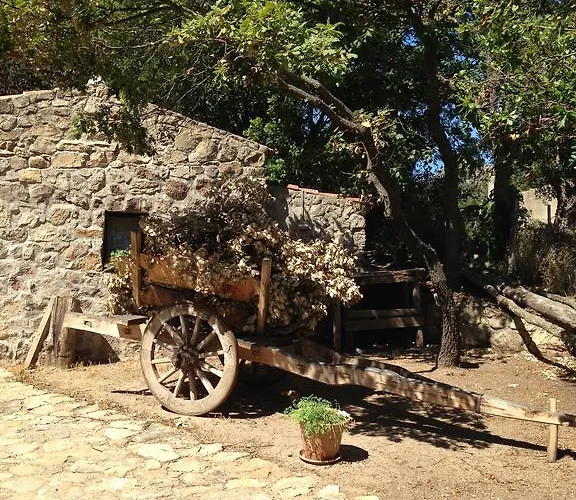 Il Muto Di Gallura *
