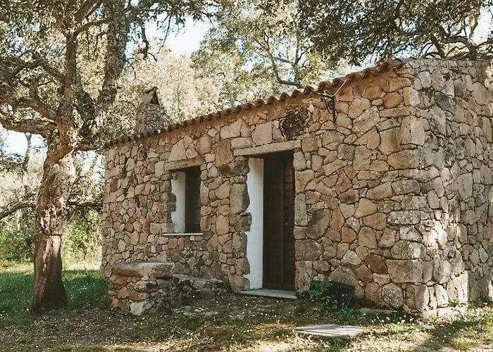 Il Muto Di Gallura Aggius