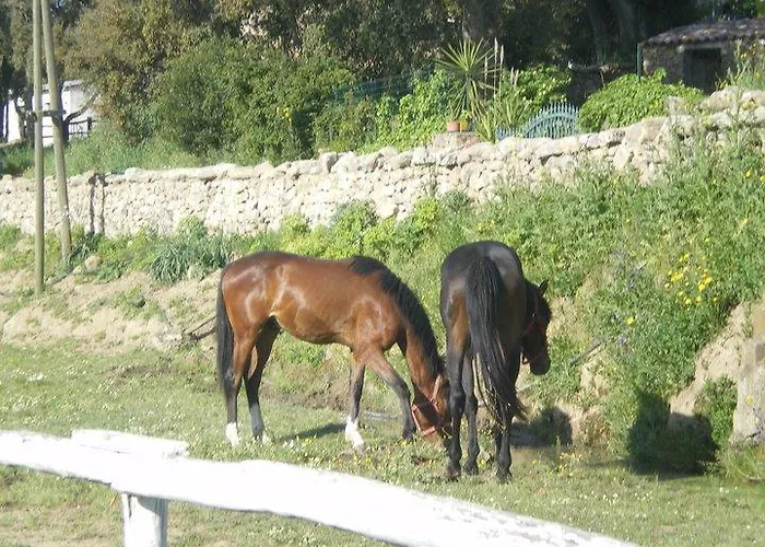 Vakantieboerderij Il Muto Di Gallura Aggius