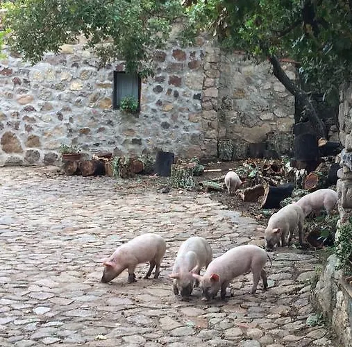 Il Muto Di Gallura Vakantieboerderij